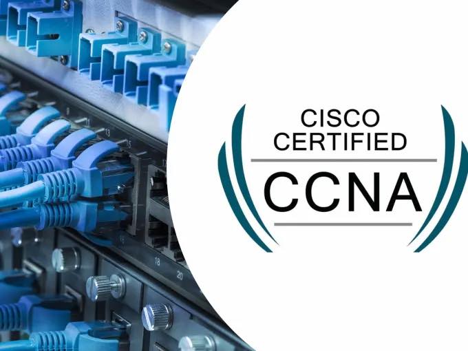🎓 CISCO CCNA证书颁发啦！